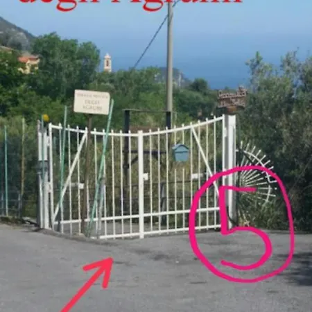 Hébergement de vacances Casa Oleandro